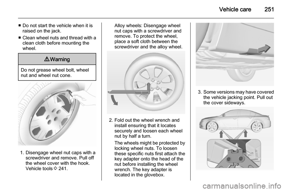 VAUXHALL INSIGNIA 2015  Owners Manual Vehicle care251
■ Do not start the vehicle when it israised on the jack.
■ Clean wheel nuts and thread with a
clean cloth before mounting the
wheel.9 Warning
Do not grease wheel bolt, wheel
nut an