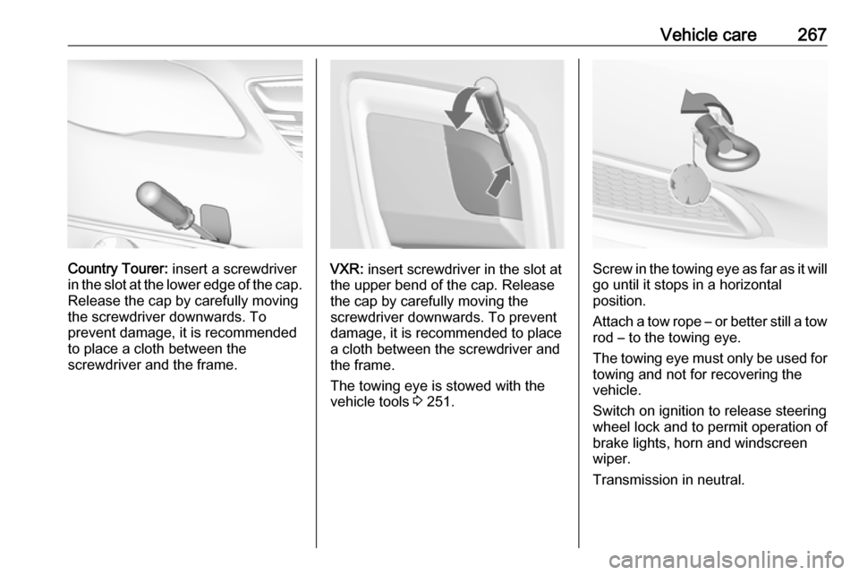 VAUXHALL INSIGNIA 2016 Owners Manual Vehicle care267
Country Tourer: insert a screwdriver
in the slot at the lower edge of the cap. Release the cap by carefully moving
the screwdriver downwards. To
prevent damage, it is recommended
to pl VAUXHALL INSIGNIA 2016 Owners Manual Vehicle care267
Country Tourer: insert a screwdriver
in the slot at the lower edge of the cap. Release the cap by carefully moving
the screwdriver downwards. To
prevent damage, it is recommended
to pl