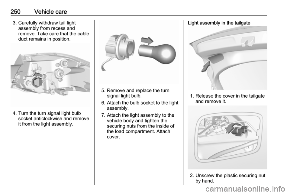 VAUXHALL INSIGNIA 2018  Owners Manual 250Vehicle care3. Carefully withdraw tail lightassembly from recess and
remove. Take care that the cable
duct remains in position.
4. Turn the turn signal light bulb socket anticlockwise and removeit 