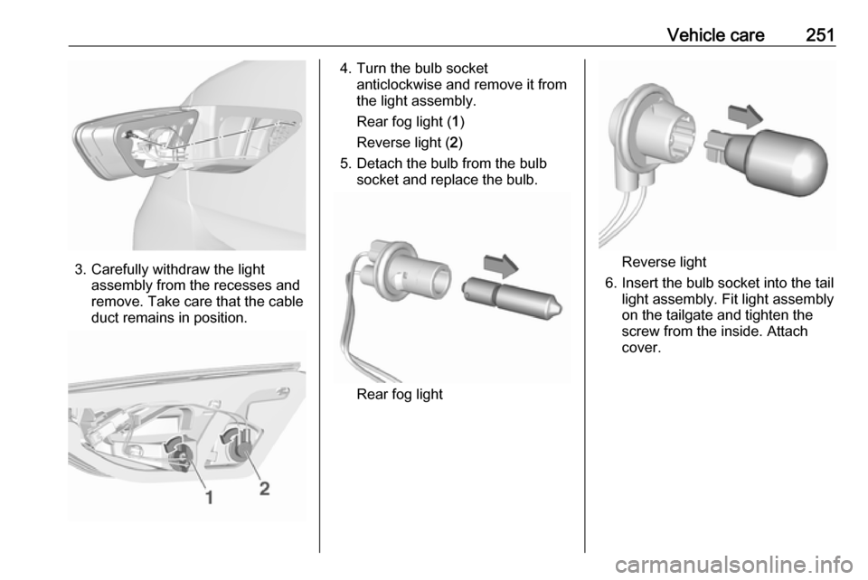 VAUXHALL INSIGNIA 2018  Owners Manual Vehicle care251
3. Carefully withdraw the lightassembly from the recesses and
remove. Take care that the cable
duct remains in position.
4. Turn the bulb socket anticlockwise and remove it from
the li