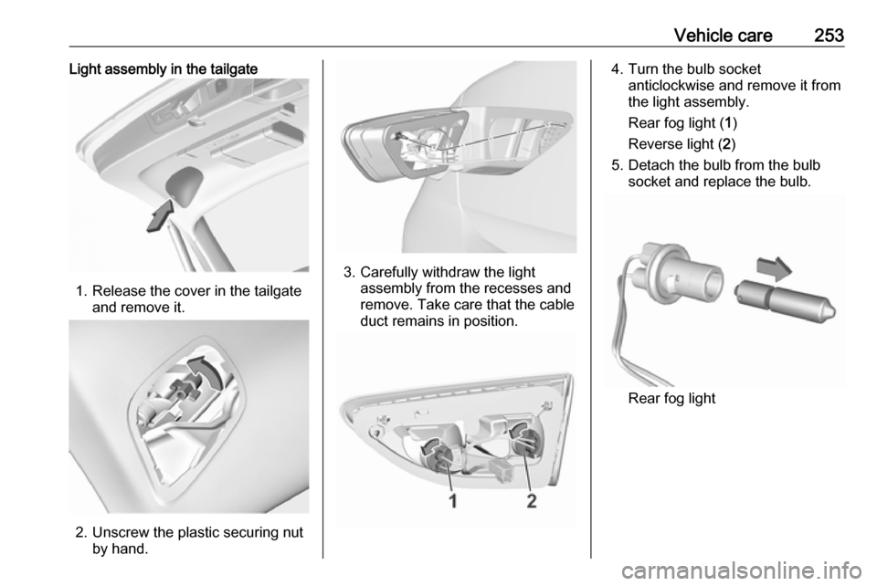 VAUXHALL INSIGNIA 2018  Owners Manual Vehicle care253Light assembly in the tailgate
1. Release the cover in the tailgateand remove it.
2. Unscrew the plastic securing nutby hand.
3. Carefully withdraw the lightassembly from the recesses a