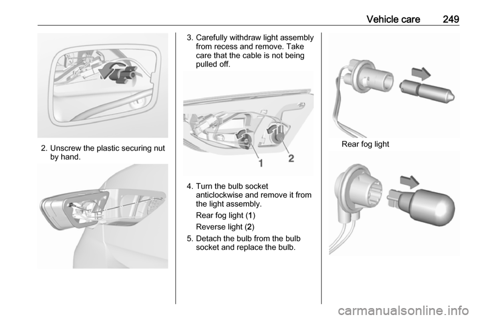 VAUXHALL INSIGNIA 2019.5  Owners Manual Vehicle care249
2. Unscrew the plastic securing nutby hand.
3. Carefully withdraw light assemblyfrom recess and remove. Take
care that the cable is not being
pulled off.
4. Turn the bulb socket anticl