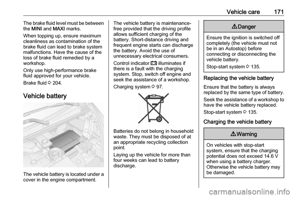 VAUXHALL VIVARO 2019  Owners Manual Vehicle care171The brake fluid level must be between
the  MINI  and  MAXI  marks.
When topping up, ensure maximum
cleanliness as contamination of the
brake fluid can lead to brake system
malfunctions.