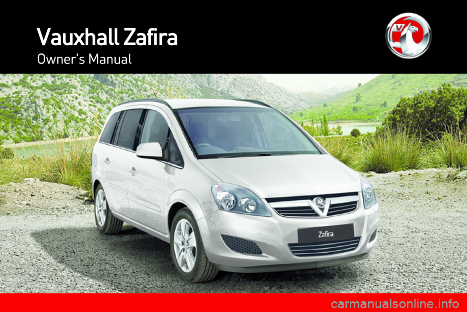 VAUXHALL ZAFIRA 2013  Owners Manual 