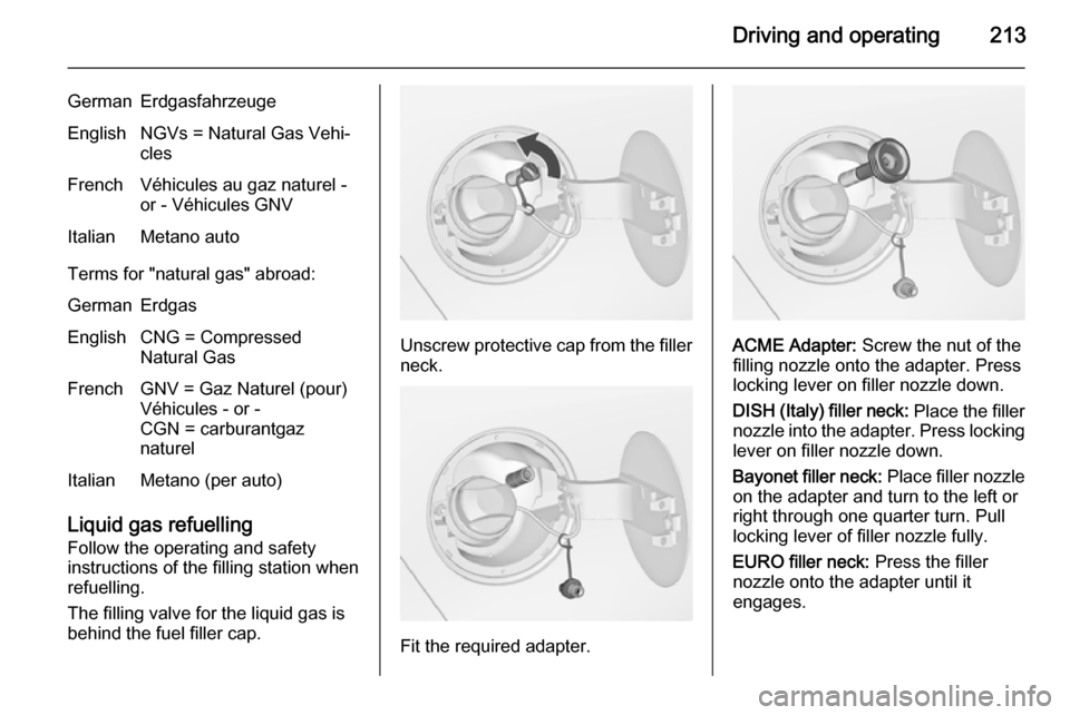 VAUXHALL ZAFIRA TOURER 2014  Owners Manual Driving and operating213
GermanErdgasfahrzeugeEnglishNGVs = Natural Gas Vehi‐clesFrenchVéhicules au gaz naturel -
or - Véhicules GNVItalianMetano auto
Terms for "natural gas" abroad:
GermanErdgasE