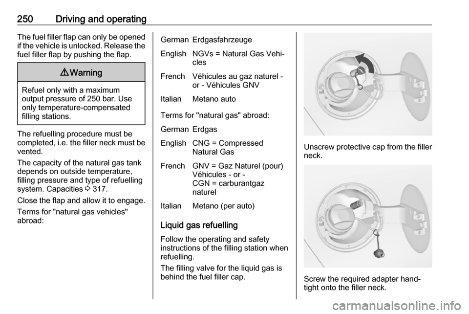 VAUXHALL ZAFIRA TOURER 2018 Owners Manual 250Driving and operatingThe fuel filler flap can only be opened
if the vehicle is unlocked. Release the
fuel filler flap by pushing the flap.9 Warning
Refuel only with a maximum
output pressure of 250 VAUXHALL ZAFIRA TOURER 2018 Owners Manual 250Driving and operatingThe fuel filler flap can only be opened
if the vehicle is unlocked. Release the
fuel filler flap by pushing the flap.9 Warning
Refuel only with a maximum
output pressure of 250