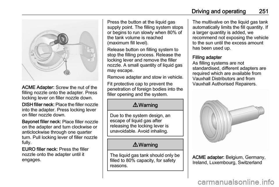 VAUXHALL ZAFIRA TOURER 2018 Owners Manual Driving and operating251
ACME Adapter: Screw the nut of the
filling nozzle onto the adapter. Press
locking lever on filler nozzle down.
DISH filler neck:  Place the filler nozzle
into the adapter. Pre