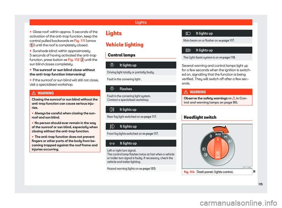 Seat Alhambra 2020  Owners Manual Lights
