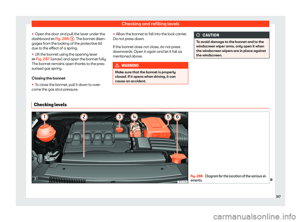 Seat Alhambra 2020  Owners Manual Checking and refilling levels
