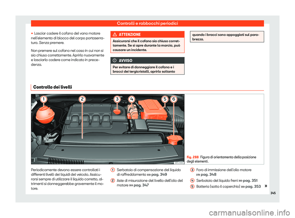 Seat Alhambra 2020  Manuale del proprietario (in Italian) Controlli e rabbocchi periodici
