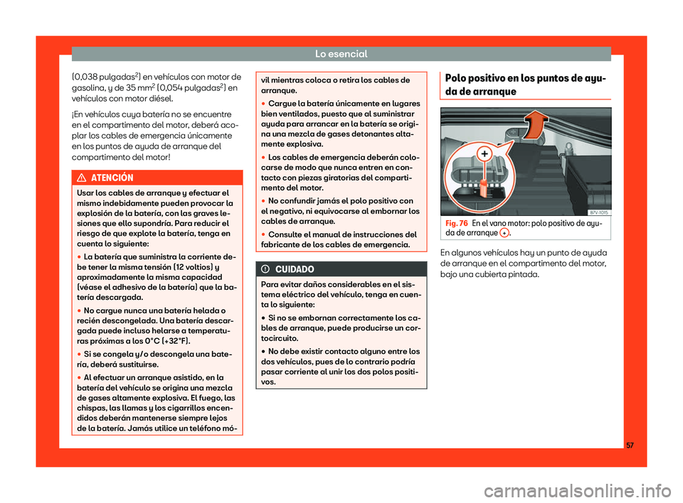 Seat Alhambra 2019  Manual del propietario (in Spanish) Lo esencial
(0,038 pulgadas 2
) en v eh
