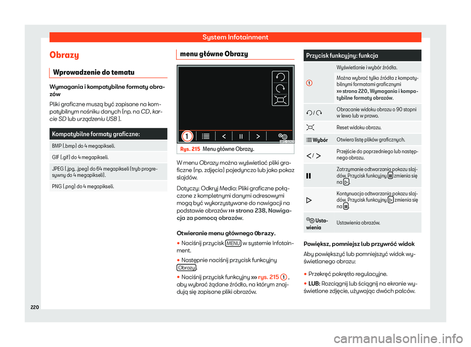 Seat Alhambra 2019  Instrukcja Obsługi (in Polish) System Infotainment
Obrazy W pr
o
wadzenie do tematu Wymagania i kompatybilne formaty obra-
z