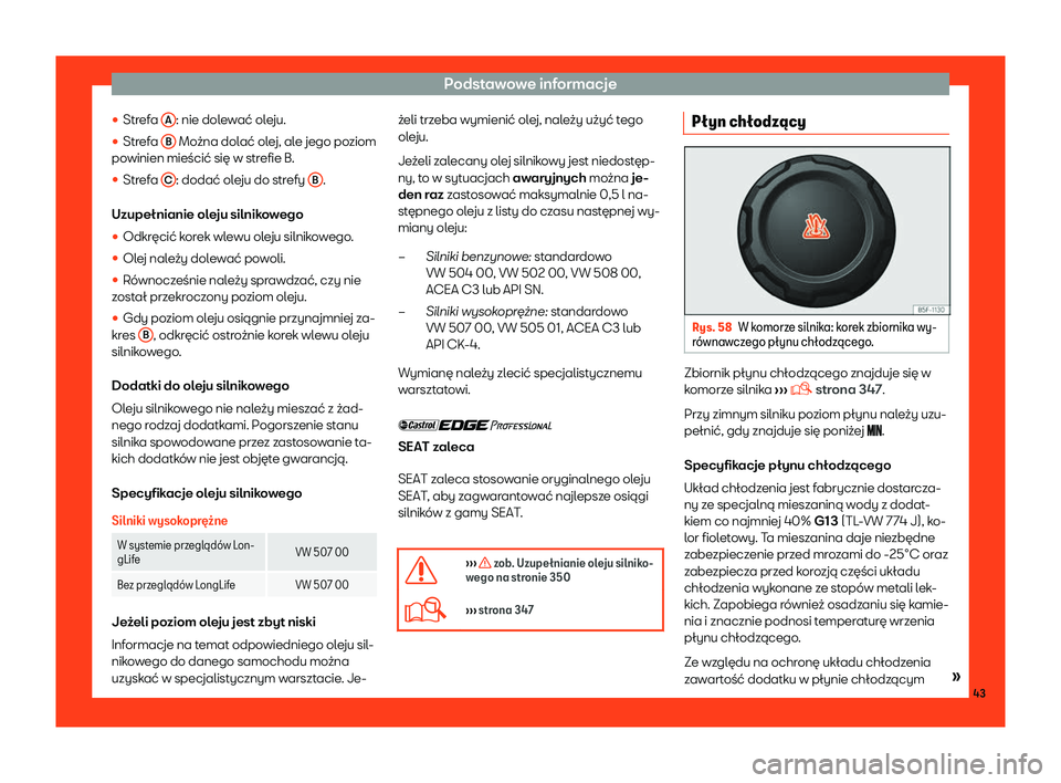 Seat Alhambra 2019  Instrukcja Obsługi (in Polish) Podstawowe informacje
