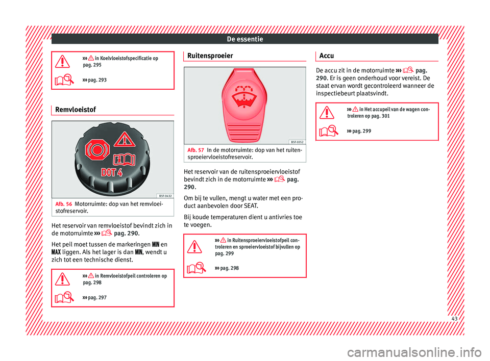 Seat Alhambra 2018  Handleiding (in Dutch) De essentie
›››  in Koelvloeistofspecificatie op
pag. 295
›››  pag. 293 Remvloeistof
Afb. 56
Motorruimte: dop van het remvloei-
s t
ofr

eservoir. Het reservoir van remvloeistof bevi