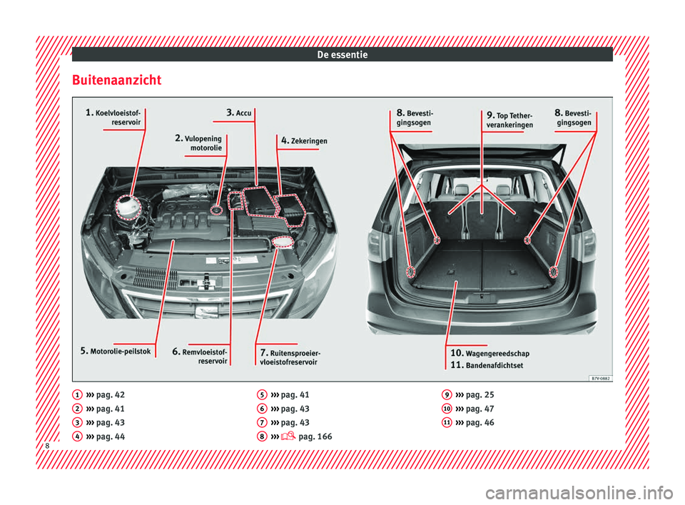 Seat Alhambra 2018 Handleiding (in Dutch) De essentie
Buitenaanzicht ›››
pag. 42
› ›
› pag. 41
››› pag. 43
››› pag. 44
1 2
3
4 ›››
pag. 41
› ›
› pag. 43
››› pag. 43
››› pag. 166
5 6
7
Seat Alhambra 2018 Handleiding (in Dutch) De essentie
Buitenaanzicht ›››
pag. 42
› ›
› pag. 41
››› pag. 43
››› pag. 44
1 2
3
4 ›››
pag. 41
› ›
› pag. 43
››› pag. 43
››› pag. 166
5 6
7
