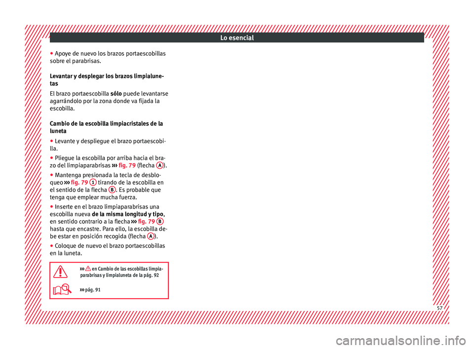 Seat Alhambra 2017  Manual del propietario (in Spanish) Lo esencial
● Apo y
e de nuev
o los brazos portaescobillas
sobre el parabrisas.
Levantar y desplegar los brazos limpialune-
tas
El brazo portaescobilla  sólo puede levantarse
agarrándolo por la zo