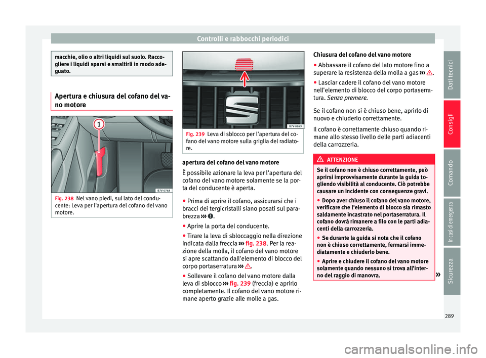 Seat Alhambra 2017 Manuale del proprietario (in Italian) Controlli e rabbocchi periodici
macchie, olio o altri liquidi sul suolo. Racco-
gliere i li
quidi s
parsi e smaltirli in modo ade-
guato. Apertura e chiusura del cofano del va-
no motor
e Fig. 238
Nel Seat Alhambra 2017 Manuale del proprietario (in Italian) Controlli e rabbocchi periodici
macchie, olio o altri liquidi sul suolo. Racco-
gliere i li
quidi s
parsi e smaltirli in modo ade-
guato. Apertura e chiusura del cofano del va-
no motor
e Fig. 238
Nel