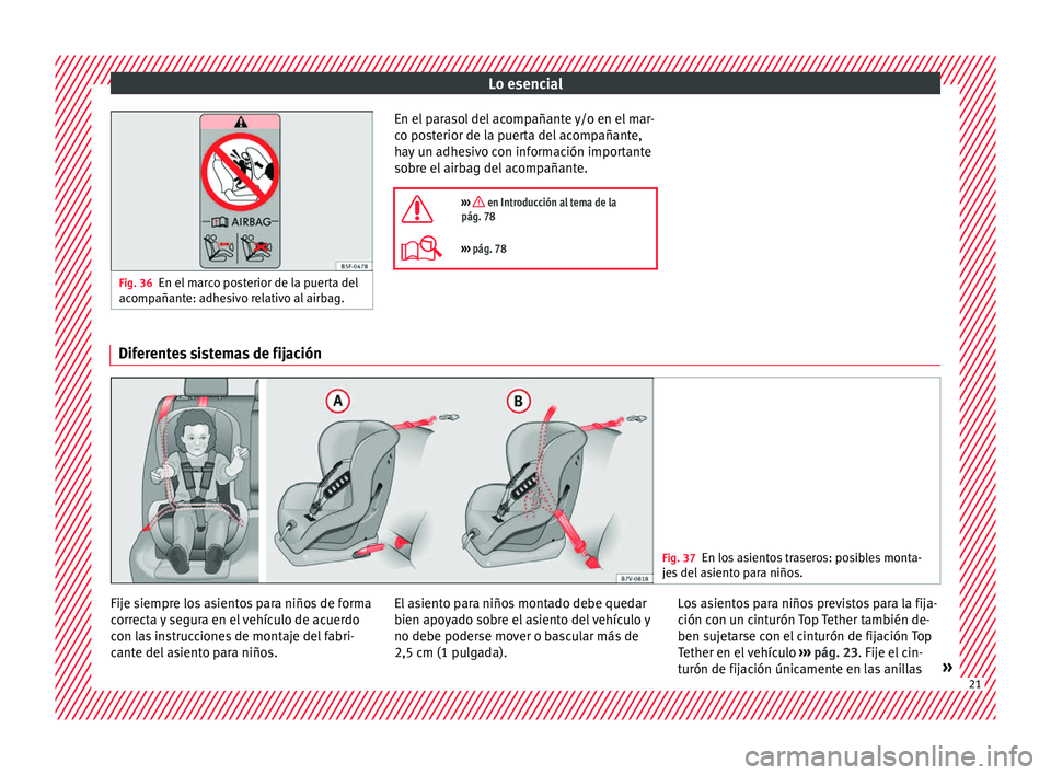 Seat Alhambra 2016  Manual del propietario (in Spanish) Lo esencial
Fig. 36
En el marco posterior de la puerta del
acomp añant
e: adhesivo relativo al airbag. En el parasol del acompañante y/o en el mar-
c
o po
s

terior de la puerta del acompañante,
ha