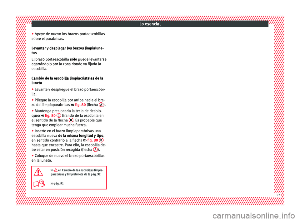 Seat Alhambra 2016 Manual del propietario (in Spanish) Lo esencial
● Apo y
e de nuev
o los brazos portaescobillas
sobre el parabrisas.
Levantar y desplegar los brazos limpialune-
tas
El brazo portaescobilla sólo puede levantarse
agarrándolo por la zo Seat Alhambra 2016 Manual del propietario (in Spanish) Lo esencial
● Apo y
e de nuev
o los brazos portaescobillas
sobre el parabrisas.
Levantar y desplegar los brazos limpialune-
tas
El brazo portaescobilla sólo puede levantarse
agarrándolo por la zo