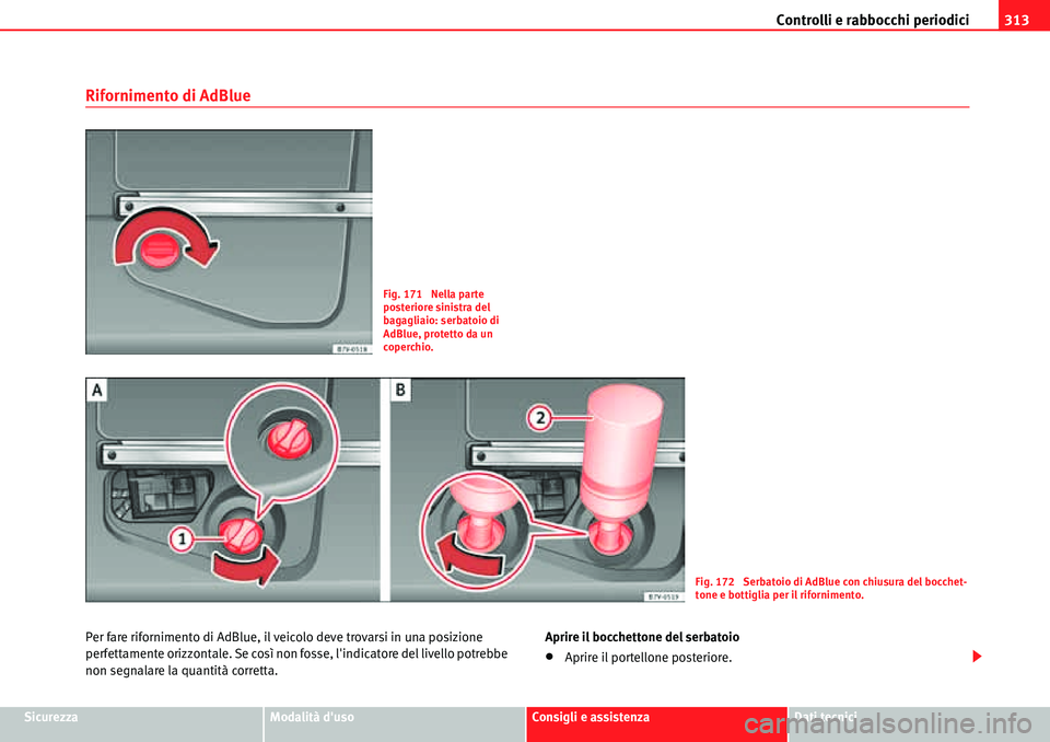 Seat Alhambra 2010  Manuale del proprietario (in Italian) Controlli e rabbocchi periodici313
SicurezzaModalità dusoConsigli e assistenzaDati tecnici
Rifornimento di AdBlue
Per fare rifornimento di AdBlue, il veicolo deve trovarsi in una posizione 
perfetta