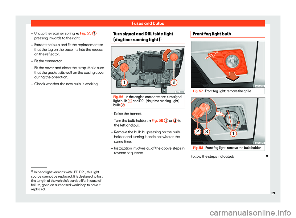 Seat Arona 2020  Owners Manual Fuses and bulbs
�