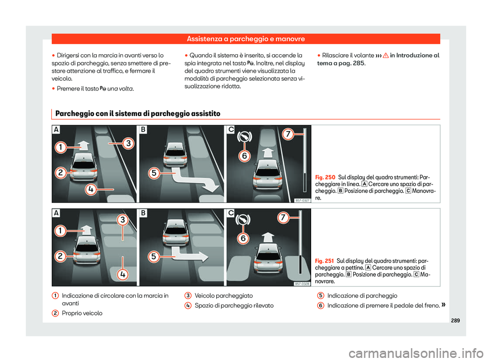 Seat Arona 2020  Manuale del proprietario (in Italian) Assistenza a parcheggio e manovre
