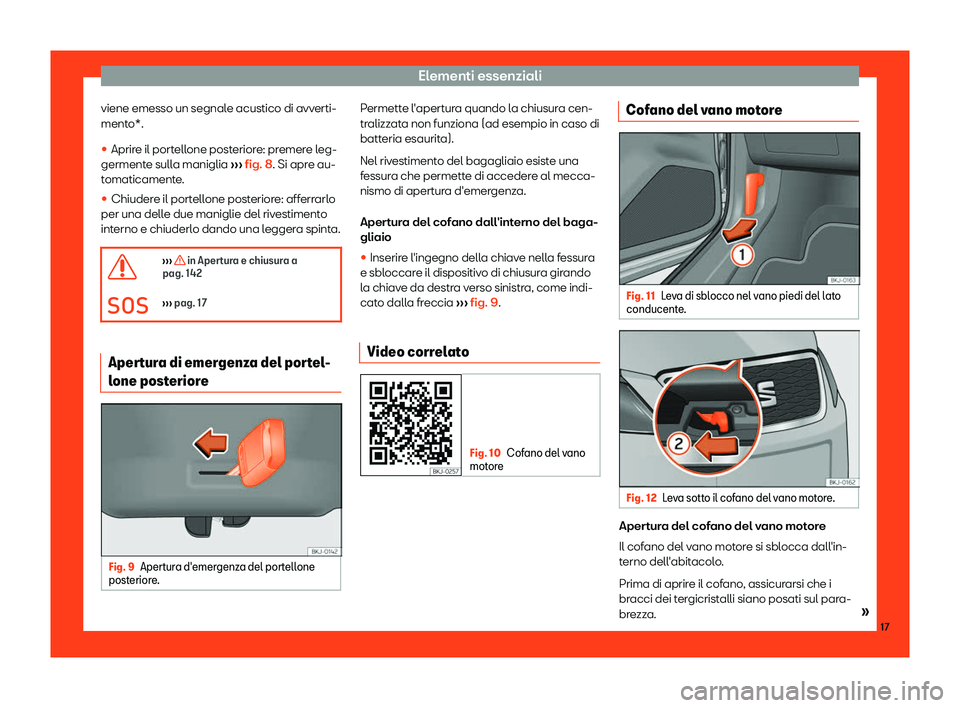 Seat Arona 2019  Manuale del proprietario (in Italian) Elementi essenziali
viene emesso un segnale acustico di avverti-
ment o*.
