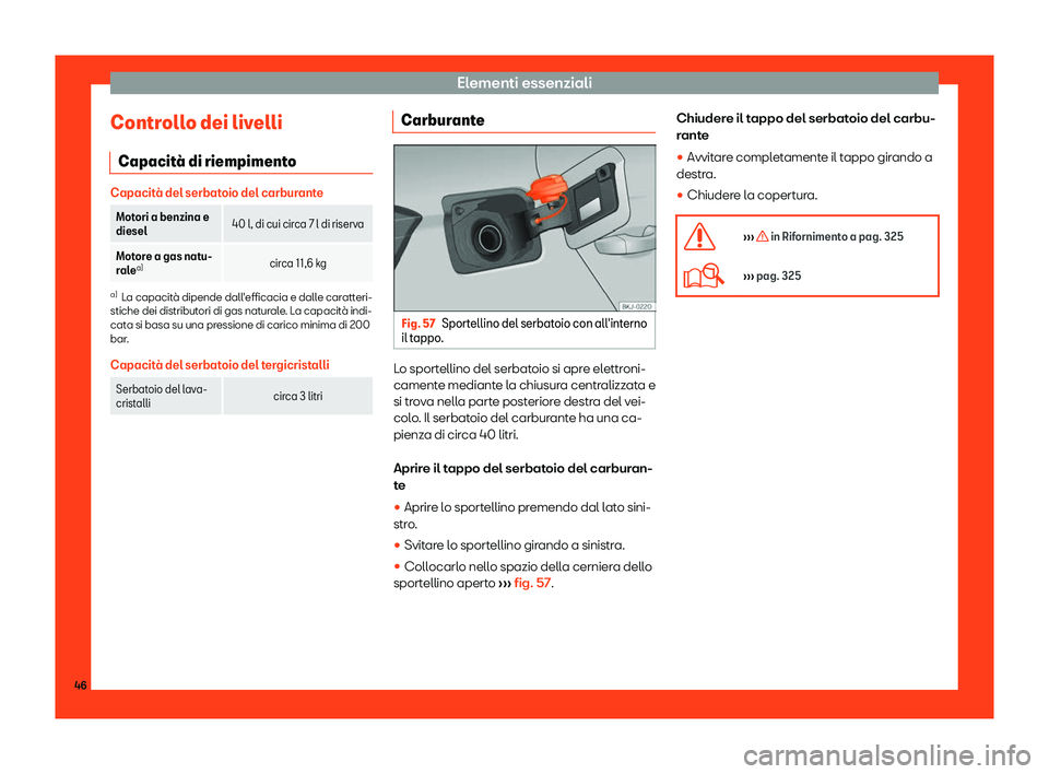 Seat Arona 2019  Manuale del proprietario (in Italian) Elementi essenziali
Controllo dei livelli Capacit 