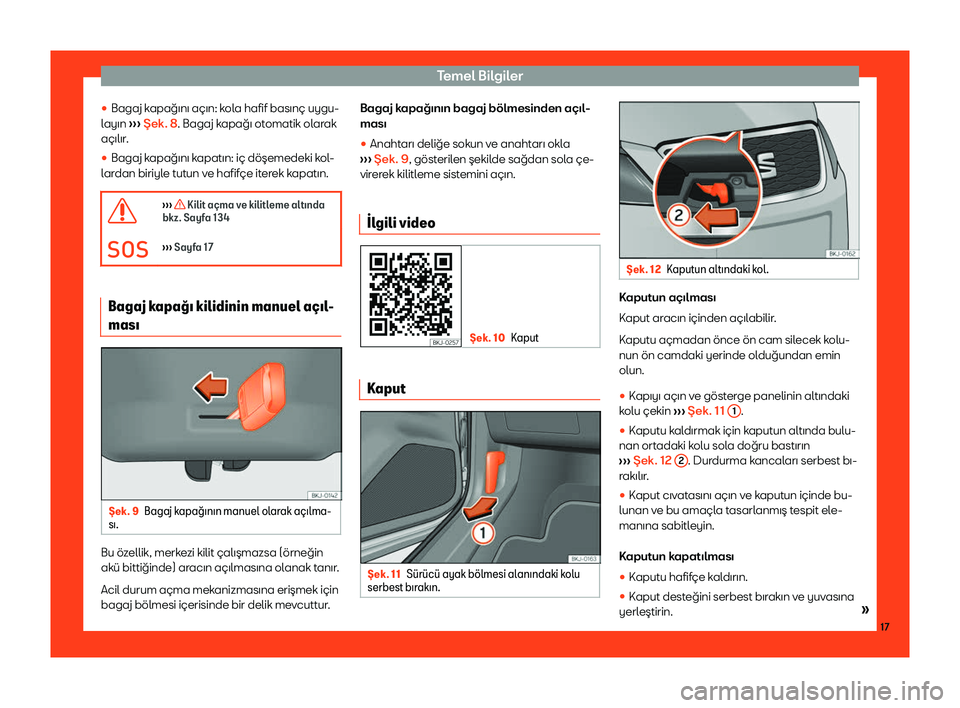 Seat Arona 2019  Kullanım Kılavuzu (in Turkish) Temel B
