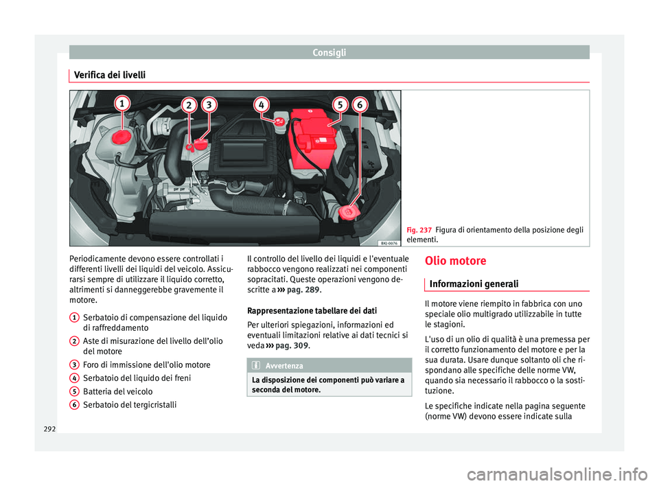 Seat Arona 2018  Manuale del proprietario (in Italian) Consigli
Verifica dei livelli Fig. 237
Figura di orientamento della posizione degli
elementi. Periodicamente devono essere controllati i
diff
er
enti liv
elli dei liquidi del veicolo. Assicu-
rarsi se