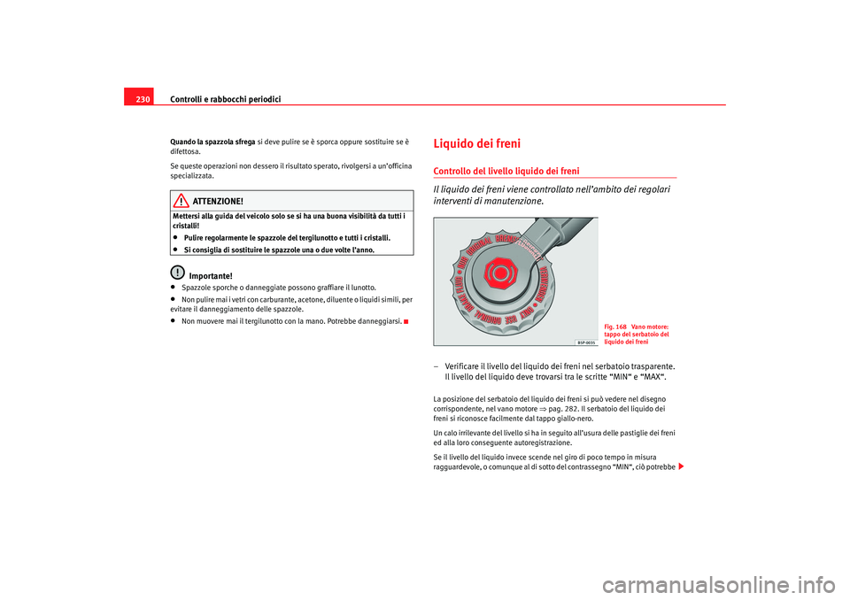 Seat Altea 2007  Manuale del proprietario (in Italian) Controlli e rabbocchi periodici
230Quando la spazzola sfrega  si deve pulire se è sporca oppure sostituire se è 
difettosa.
Se queste operazioni non dessero il risultato sperato, rivolgersi a un’o