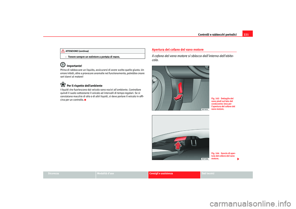 Seat Altea Freetrack 2007  Manuale del proprietario (in Italian) Controlli e rabbocchi periodici221
Sicurezza
Modalità duso
Consigli e assistenza
Dati tecnici
−
Tenere sempre un estintore a portata di mano.
Importante!
Prima di rabboccare un liquido, assicurars