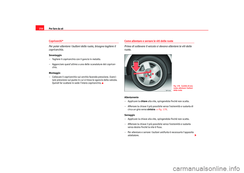 Seat Altea Freetrack 2007  Manuale del proprietario (in Italian) Per fare da sé
250Copricerchi*
Per poter allentare i bulloni della ruota, bisogna togliere il 
copricerchio.Smontaggio
– Togliere il copricerchio con il gancio in metallo.
– Agganciare questulti