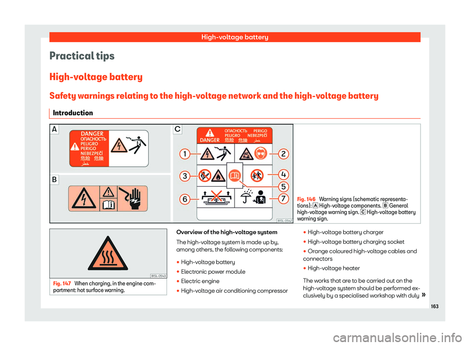 Seat Mii electric 2019  Owners Manual High-voltage battery
Practical tips
High-v olt
age battery
Safety warnings relating to the high-voltage network and the high-voltage battery Introduction Fig. 146 
Warning signs (schematic representa-