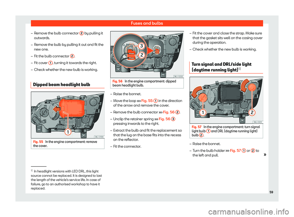 Seat Ibiza 2019  Owners manual Fuses and bulbs
�