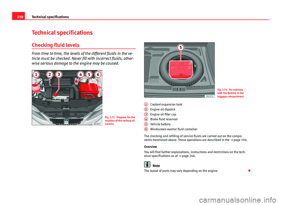 Seat Ibiza 5D 2011 Owners manual 250Technical specifications
Technical specifications
Checking fluid levels
From time to time, the levels of the different fluids in the ve-
hicle must be checked. Never fill with incorrect fluids, oth Seat Ibiza 5D 2011 Owners manual 250Technical specifications
Technical specifications
Checking fluid levels
From time to time, the levels of the different fluids in the ve-
hicle must be checked. Never fill with incorrect fluids, oth