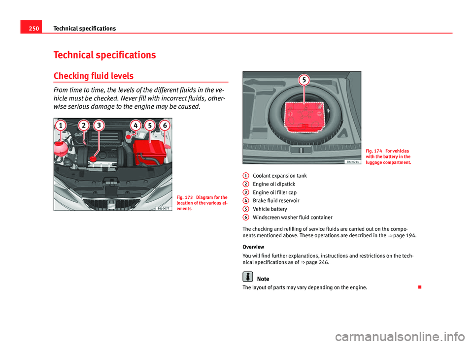 Seat Ibiza 5D 2011  Owners manual 250Technical specifications
Technical specifications
Checking fluid levels
From time to time, the levels of the different fluids in the ve-
hicle must be checked. Never fill with incorrect fluids, oth