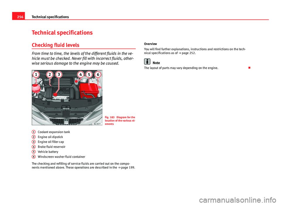 Seat Ibiza ST 2011  Owners manual 256Technical specifications
Technical specifications
Checking fluid levels
From time to time, the levels of the different fluids in the ve-
hicle must be checked. Never fill with incorrect fluids, oth