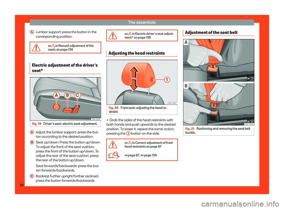 Seat Leon 2018  Owners manual The essentials
Lumbar support: press the button in the
corr esponding position.
�