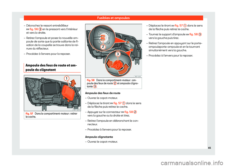 Seat Ateca 2020  Manuel du propriétaire (in French)  Fusibles et ampoules
�