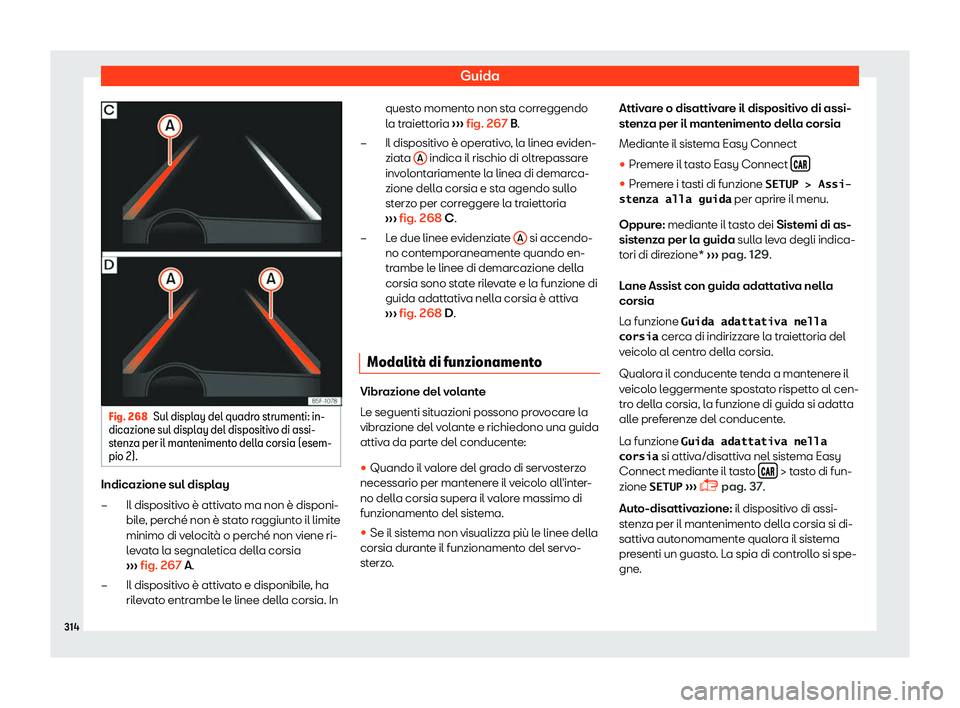 Seat Ateca 2019  Manuale del proprietario (in Italian) Guida
Fig. 268
Sul display del quadro strumenti: in-
dicazione sul displ ay del dispositiv
o di assi-
st
enza per il mantenimento della corsia (esem-
pio 2). Indicazione sul display
Il dispositiv o 