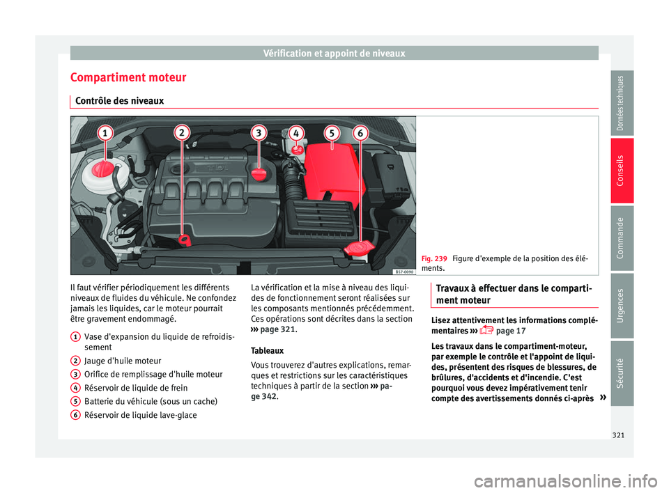 Seat Ateca 2018 Manuel du propriétaire (in French) Vérification et appoint de niveaux
Compartiment moteur C ontrôl
e de
s niveaux Fig. 239
Figure d'exemple de la position des élé-
ments. Il faut vérifier périodiquement les différents
niv
e Seat Ateca 2018 Manuel du propriétaire (in French) Vérification et appoint de niveaux
Compartiment moteur C ontrôl
e de
s niveaux Fig. 239
Figure d'exemple de la position des élé-
ments. Il faut vérifier périodiquement les différents
niv
e