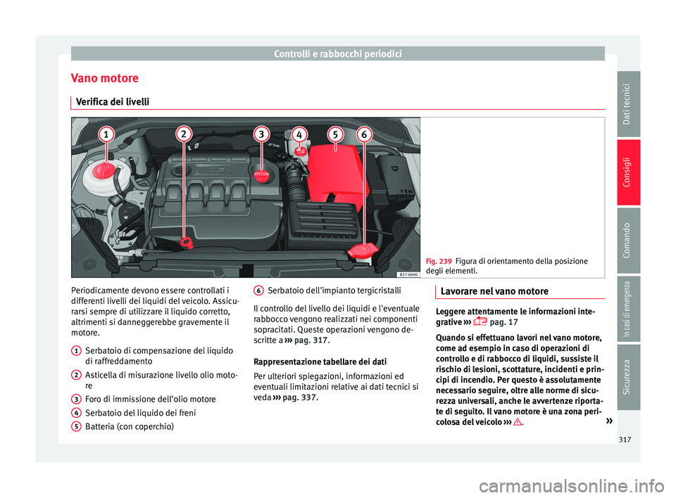 Seat Ateca 2018 Manuale del proprietario (in Italian) Controlli e rabbocchi periodici
Vano motore V erific
a dei liv
elli Fig. 239
Figura di orientamento della posizione
degli el ementi. Periodicamente devono essere controllati i
diff
er
enti liv
elli d Seat Ateca 2018 Manuale del proprietario (in Italian) Controlli e rabbocchi periodici
Vano motore V erific
a dei liv
elli Fig. 239
Figura di orientamento della posizione
degli el ementi. Periodicamente devono essere controllati i
diff
er
enti liv
elli d