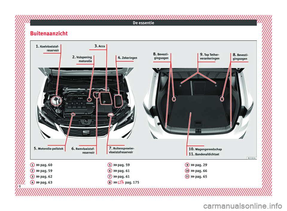 Seat Ateca 2018  Handleiding (in Dutch) De essentie
Buitenaanzicht ››› 
pag. 60
› ›
› pag. 59
›››  pag. 62
›››  pag. 63
1 2
3
4 ››› 
pag. 59
› ›
› pag. 61
›››  pag. 61
›››   pag. 175
5 6
7
