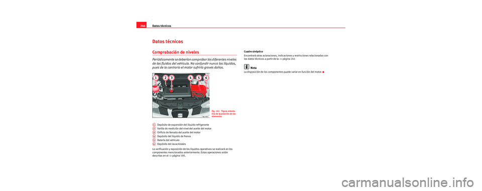 Seat Cordoba 2007  Manual del propietario (in Spanish) Datos técnicos
246
Datos técnicos
Comprobación de niveles
Periódicamente se deberían co mprobar los diferentes niveles 
de los fluidos del vehículo. No confundir nunca los líquidos, 
pues de lo