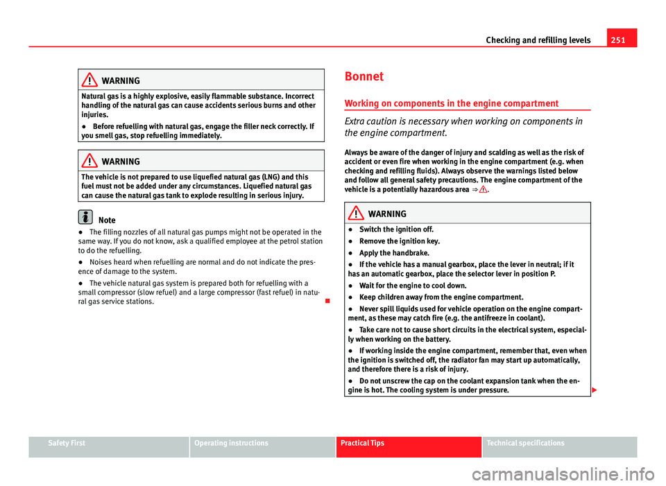 Seat Leon SC 2013  Owners manual 251
Checking and refilling levels
WARNING
Natural gas is a highly explosive, easily flammable substance. Incorrect
handling of the natural gas can cause accidents serious burns and other
injuries.
●