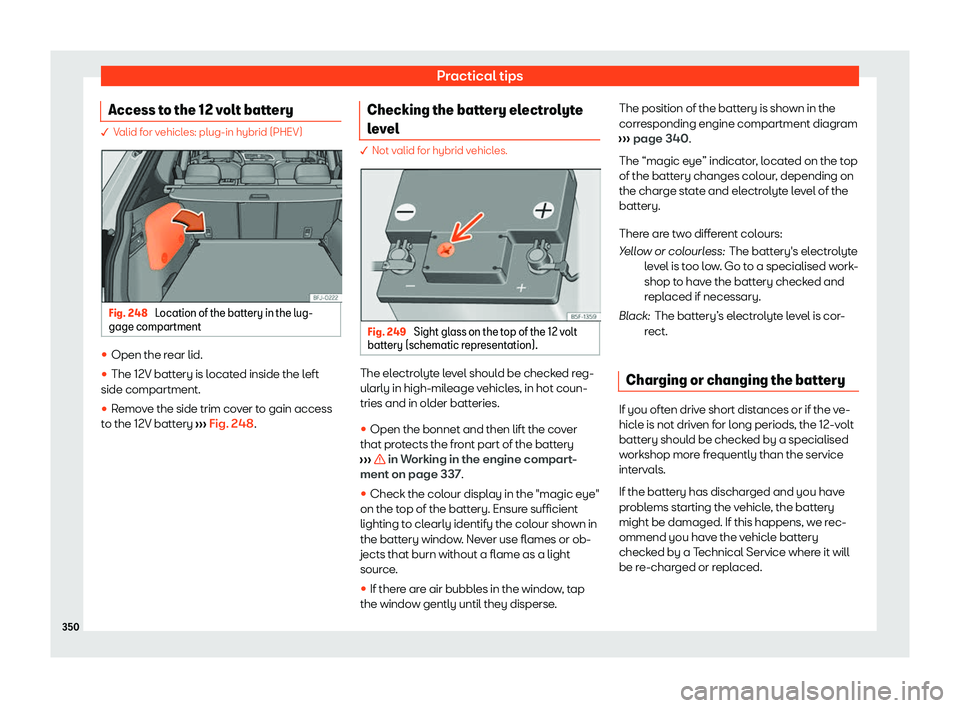 Seat Tarraco 2020  Owners manual Practical tips
Access to the 12 volt battery � V
alid for vehicles: plug-in hybrid (PHEV) Fig. 248 
Location of the battery in the lug-
gage compartment 