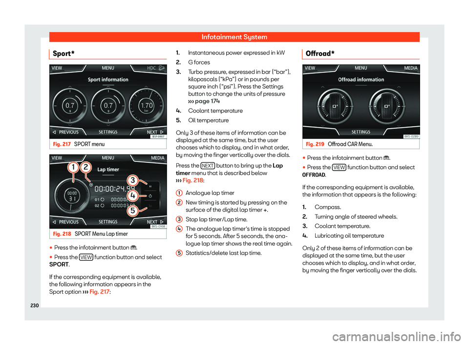 Seat Tarraco 2019  Owners manual Infotainment System
Sport* Fig. 217 
SPORT menu Fig. 218 
SPORT Menu Lap timer 