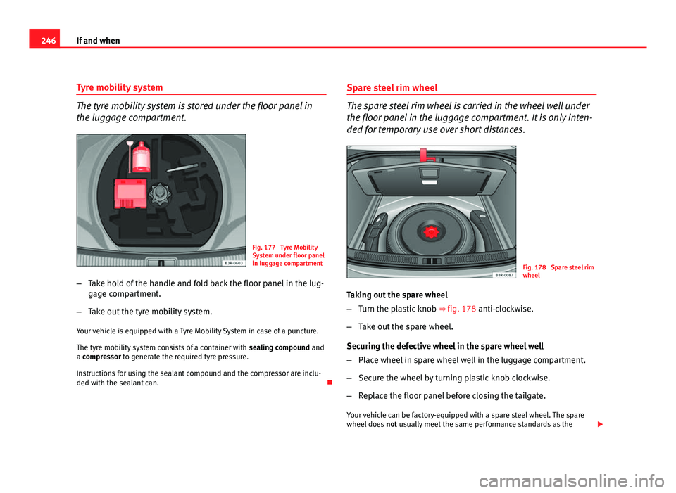 Seat Exeo 2011  Owners manual 246If and when
Tyre mobility system
The tyre mobility system is stored under the floor panel in
the luggage compartment.
Fig. 177  Tyre Mobility
System under floor panel
in luggage compartment
– Tak