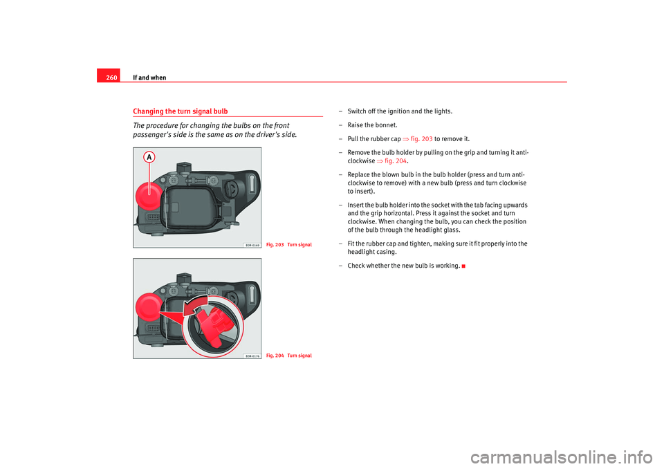 Seat Exeo 2008  Owners manual If and when
260Changing the turn signal bulb
The procedure for changing the bulbs on the front 
passengers side is the same as on the drivers side.
– Switch off the ignition and the lights.
–Rai
